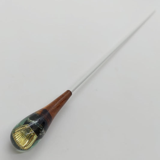 Batuta Clássica Instrumento Musical - Acordeon